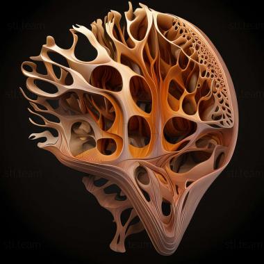 3D модель Heterocyathus aequicostatus (STL)